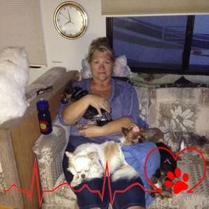 Meet your Posher, Patsy